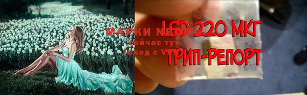 spice Абинск