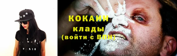 крисы Алзамай