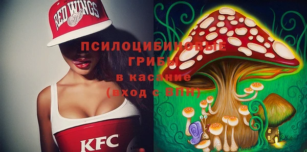 крисы Алзамай