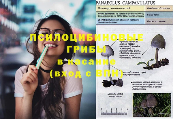 гидропоника Абдулино