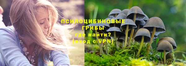 гидропоника Абдулино