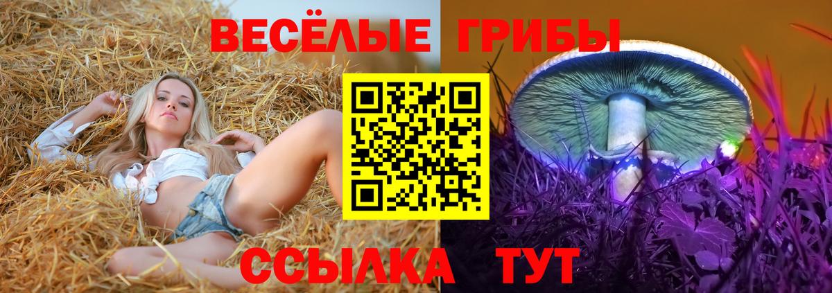 Галлюциногенные грибы Psilocybe Лабытнанги